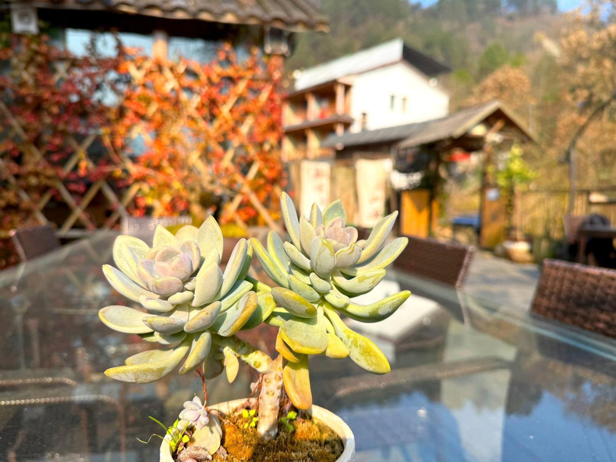 Zhangjiajie Forest Park Youth Hostel Exterior foto